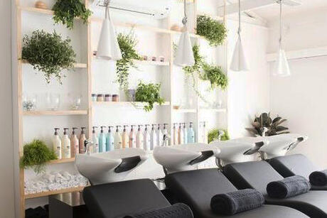 Озеленення фітнес-центрів та SPA-салонів