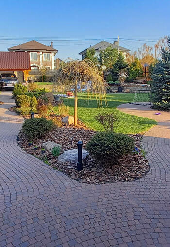 Озеленение участков
