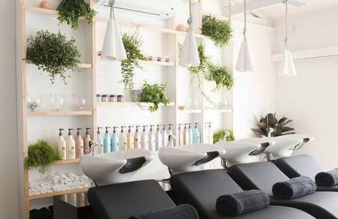 Озеленення фітнес-центрів та SPA-салонів у Києві та області