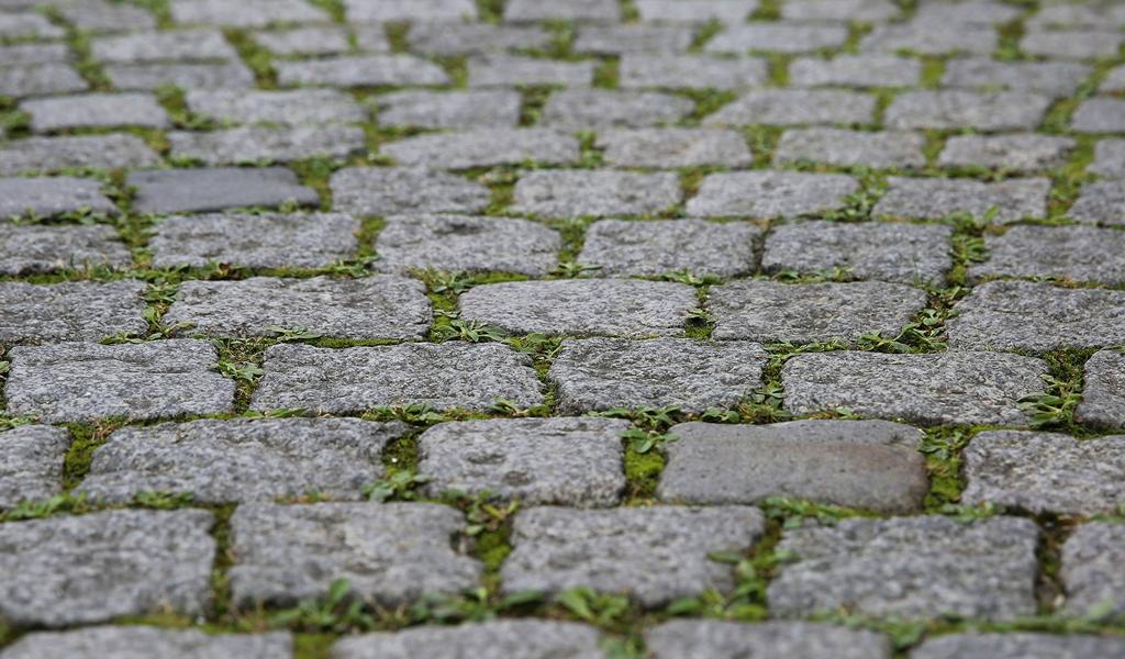 Бетонування садових доріжок